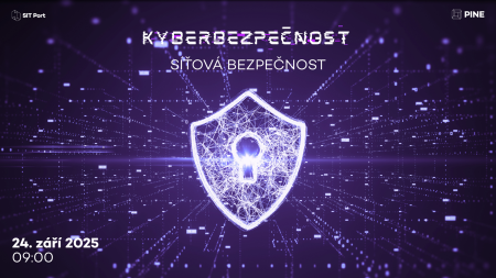 Kyberbezpečnost: síťová bezpečnost