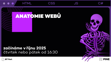 Anatomie webů